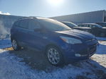 Ford Escape 2013