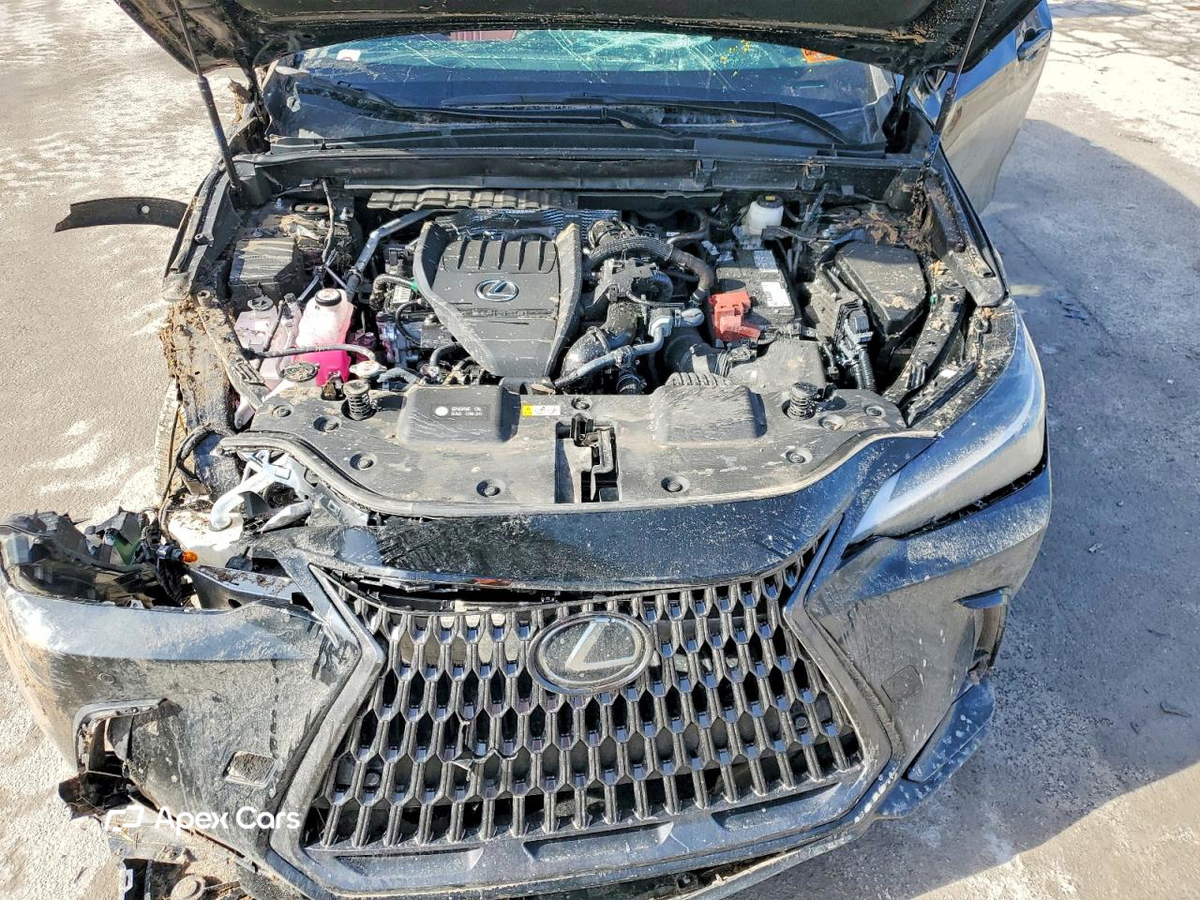 Lexus NX 2025