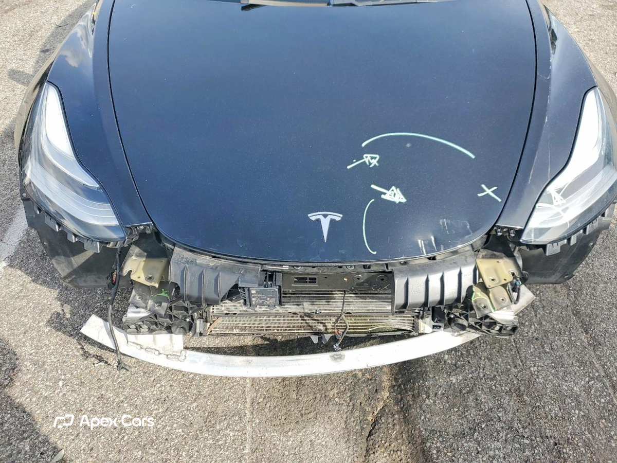 Tesla Model 3 2019