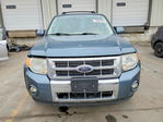 Ford Escape 2011