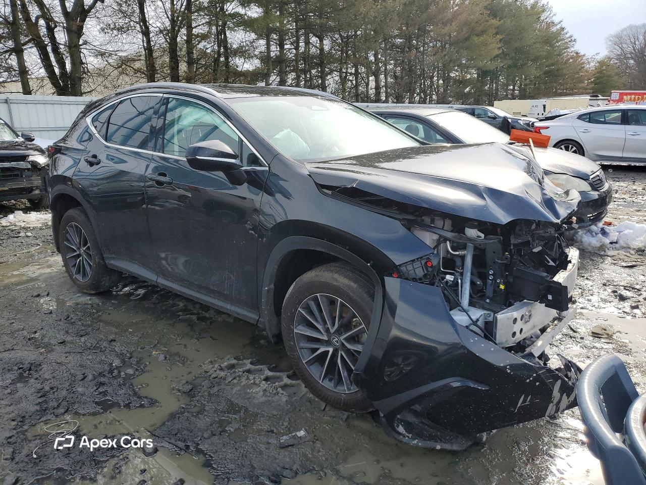 Lexus NX 2024