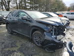 Lexus NX 2024
