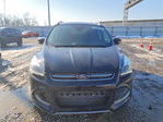 Ford Escape 2016