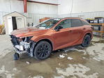 Lexus RX 2023