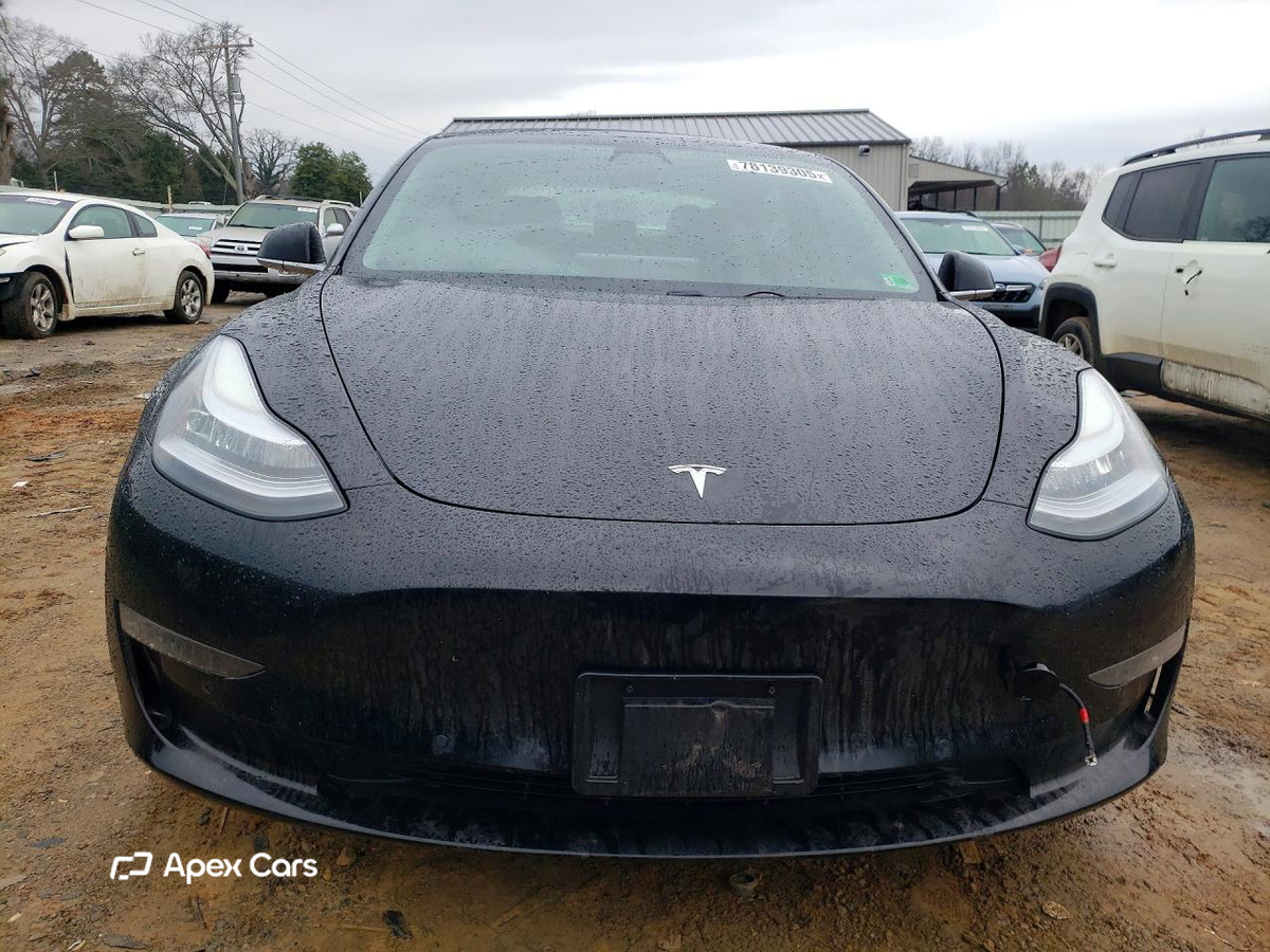 Tesla Model 3 2019