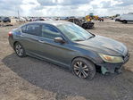 Honda Accord 2013