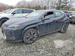 Lexus UX 2023