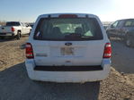 Ford Escape 2010