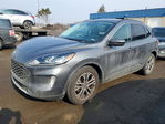 Ford Escape 2021