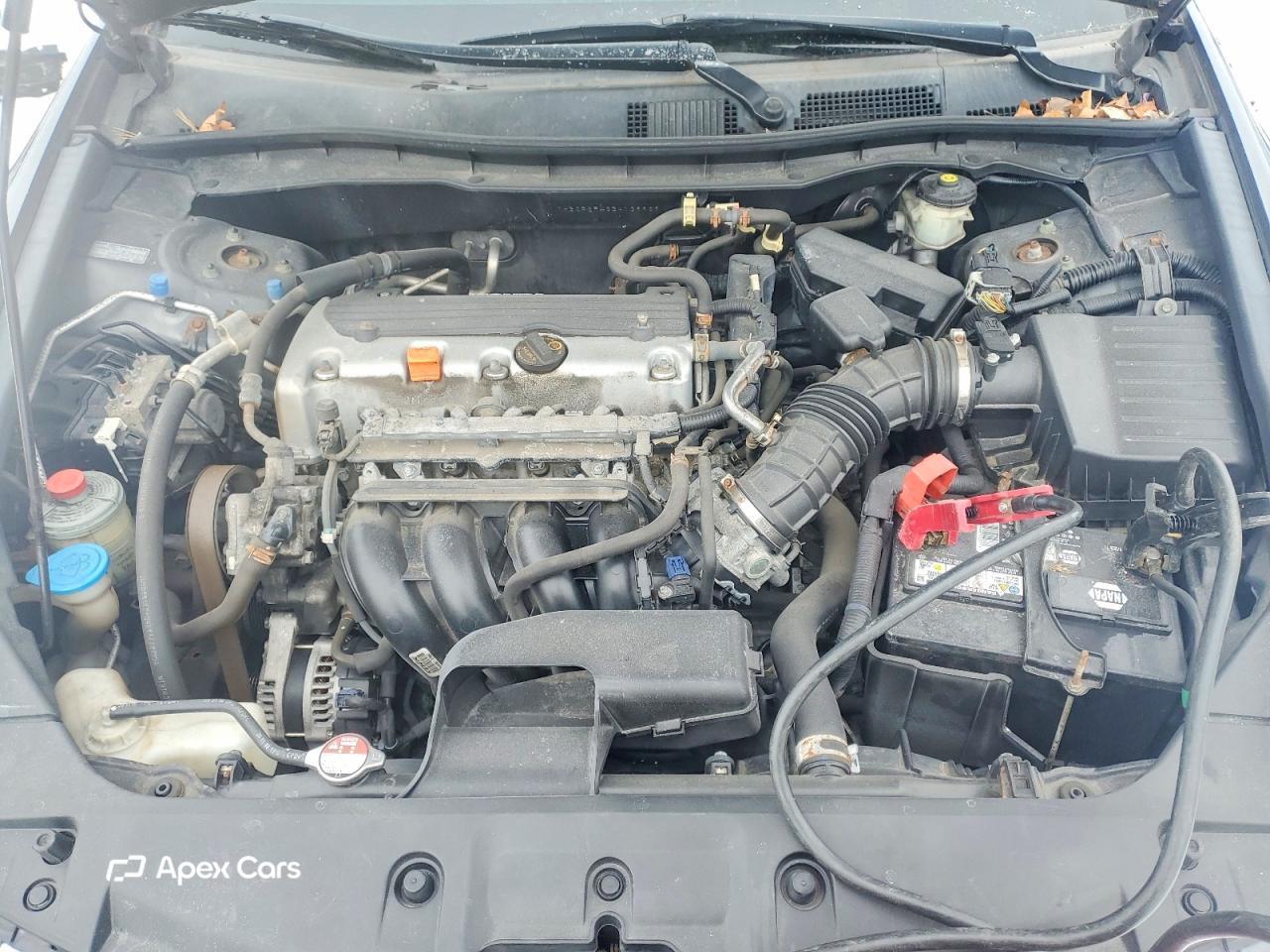 Honda Accord 2011