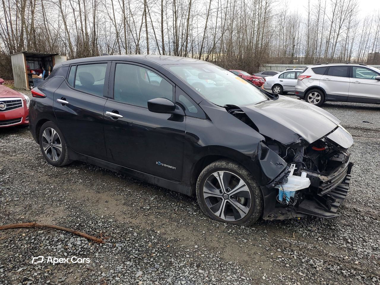 Nissan Leaf 2019