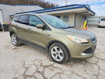 Ford Escape 2014