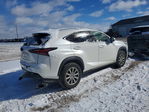 Lexus NX 2019