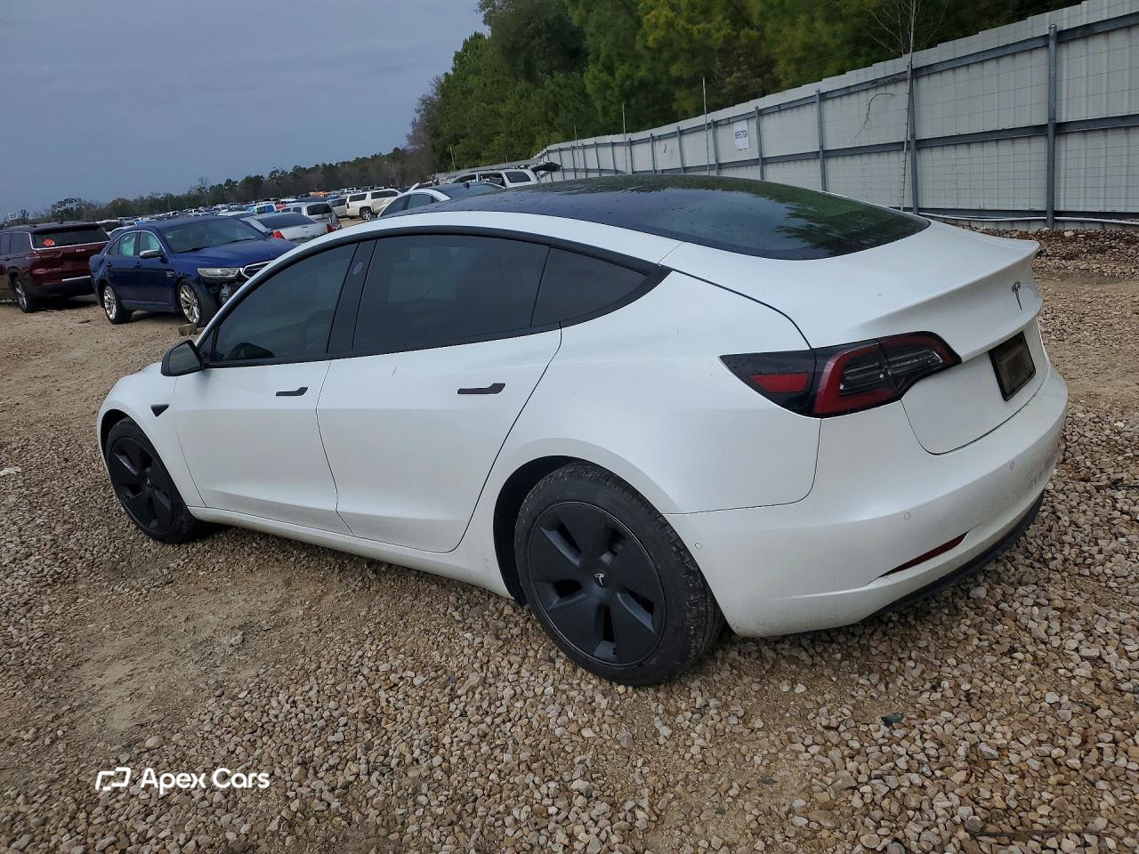 Tesla Model 3 2021