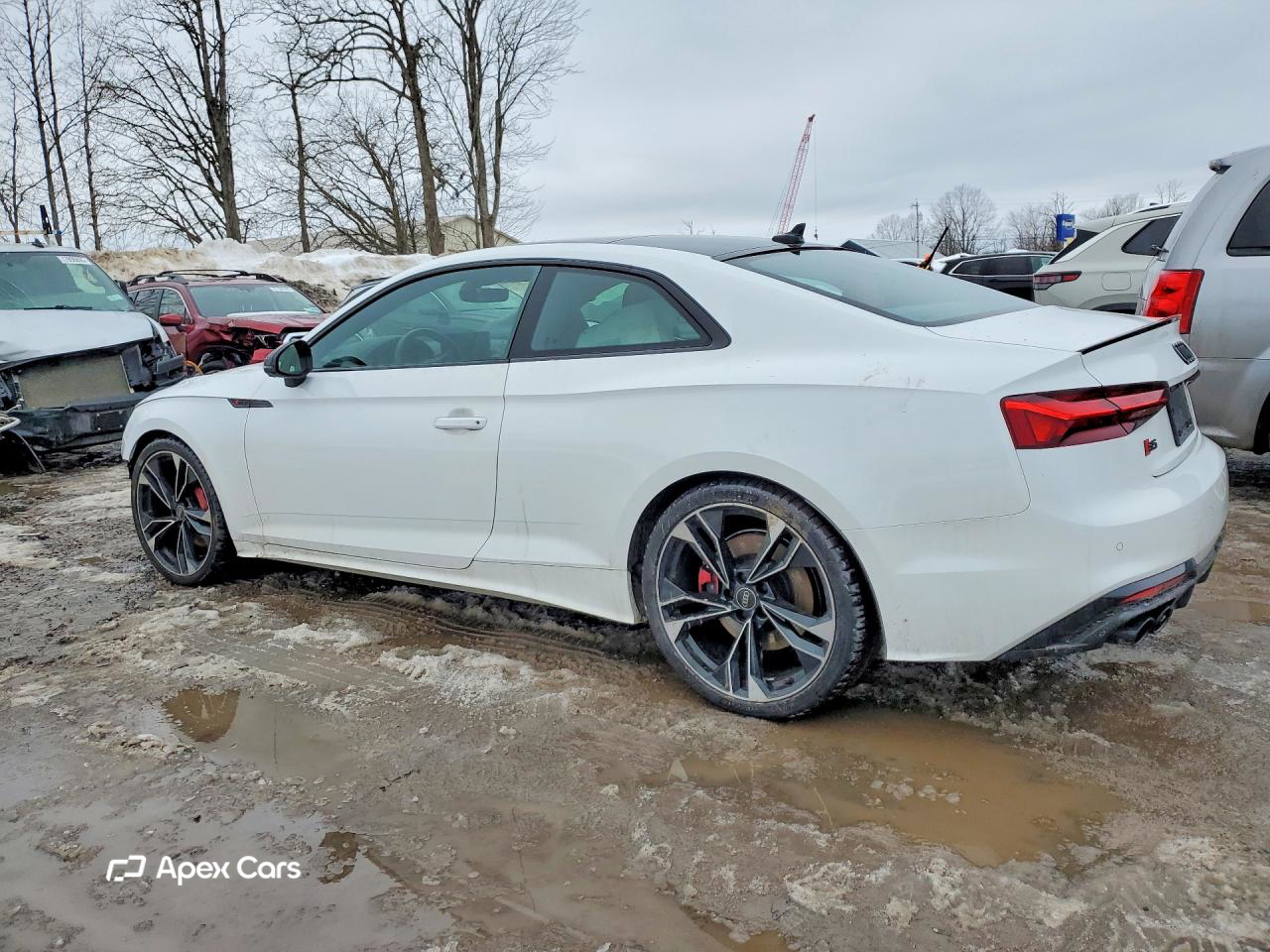 Audi RS5 2024