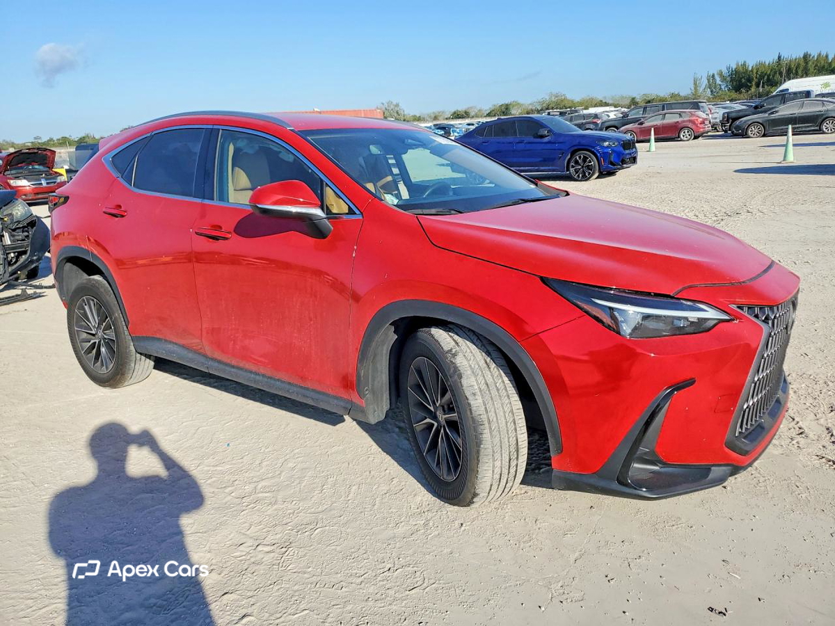 Lexus NX 2024