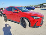 Lexus NX 2024
