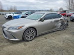 Lexus ES 2020
