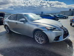 Lexus IS 2014