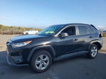 Toyota RAV 4 2021