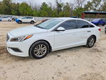 Hyundai Sonata 2017