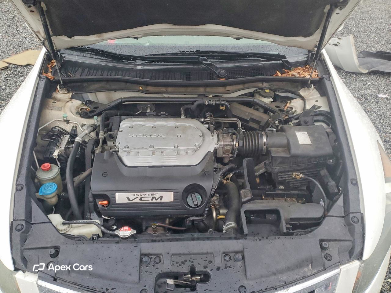Honda Accord 2010