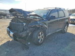 Ford Escape 2010
