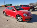 Volkswagen Beetle 2013