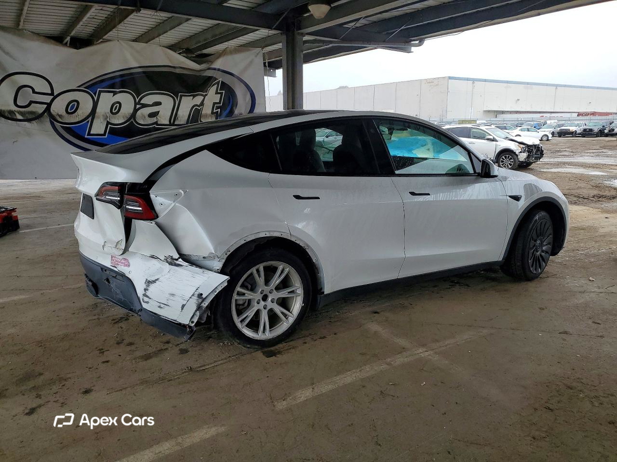 Tesla Model Y 2021
