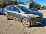 Ford Escape 2016