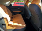 Lexus NX 2021