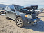 Ford Escape 2010
