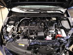 Toyota  2023