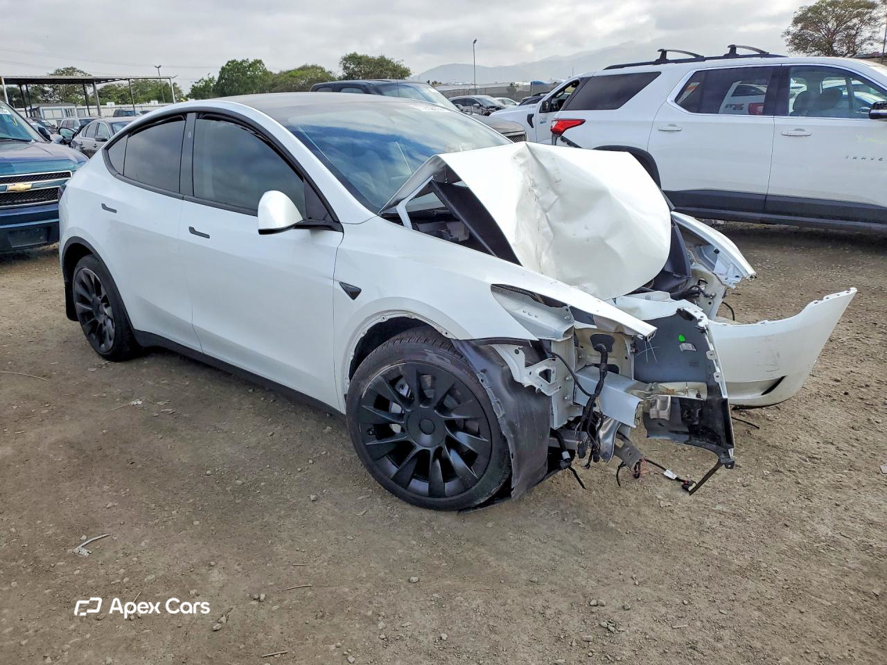 Tesla Model Y 2024