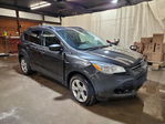 Ford Escape 2016