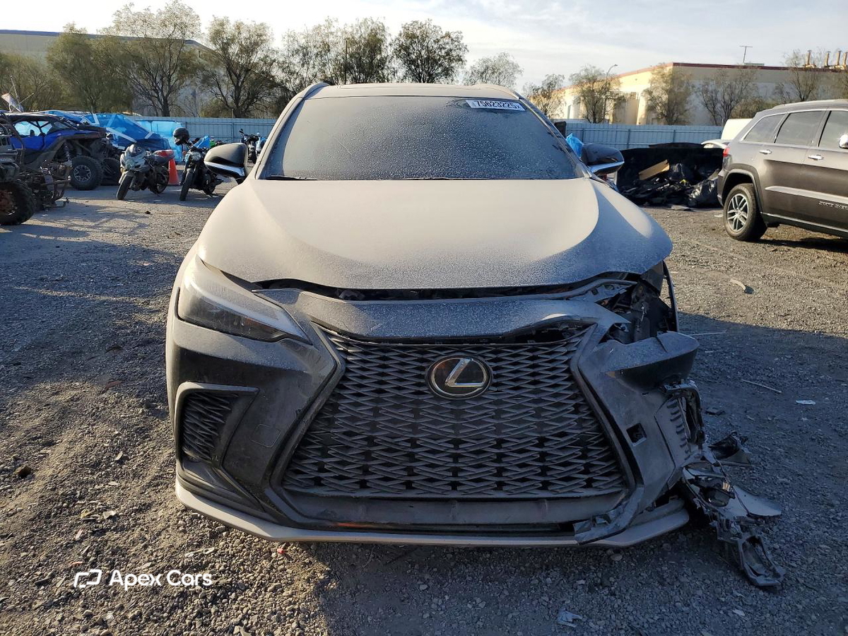 Lexus NX 2024
