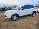 Ford Escape 2016