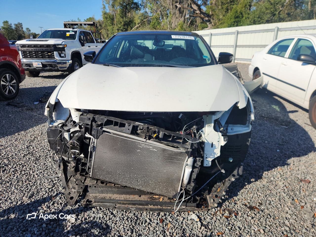 Nissan Maxima 2019