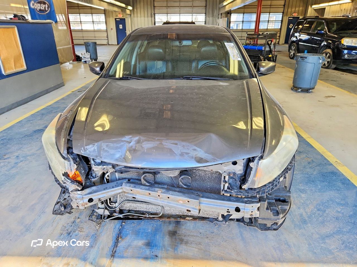 Honda Accord 2010