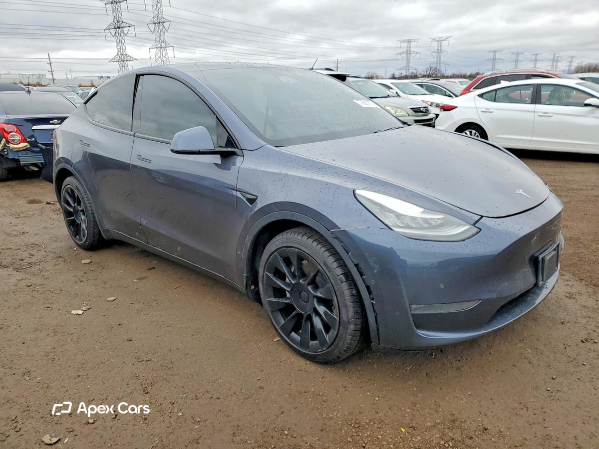 Tesla Model Y 2020