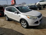 Ford Escape 2013