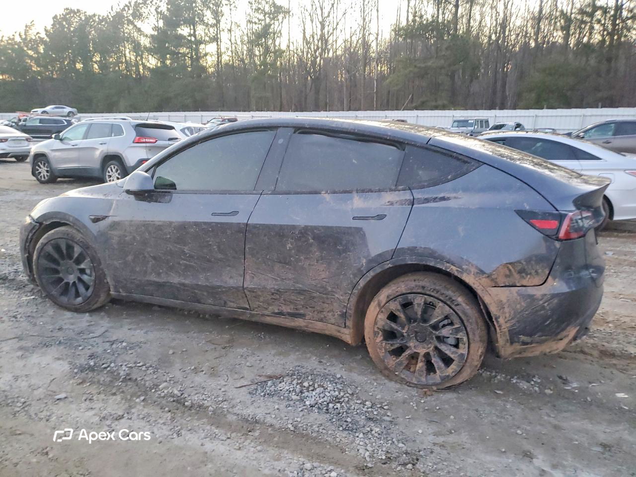Tesla Model Y 2022