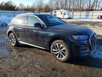 Audi Q5 2021