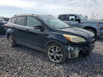 Ford Escape 2016