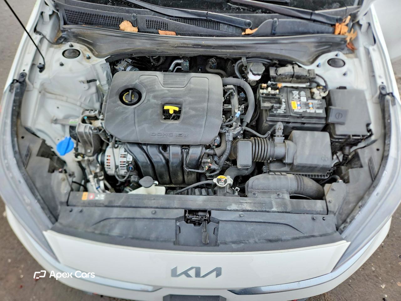 Kia Forte 2024