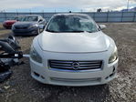 Maxima 2012