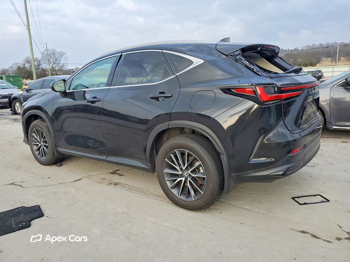 Lexus NX 2024