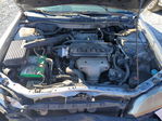 Honda Accord 2001