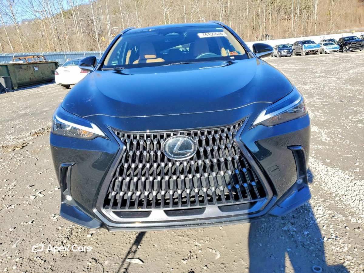 Lexus NX 2024