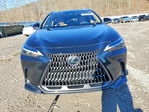 Lexus NX 2024